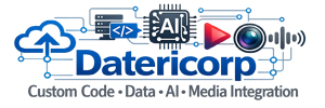 Datericorp - Custom Software - SaaS - Support